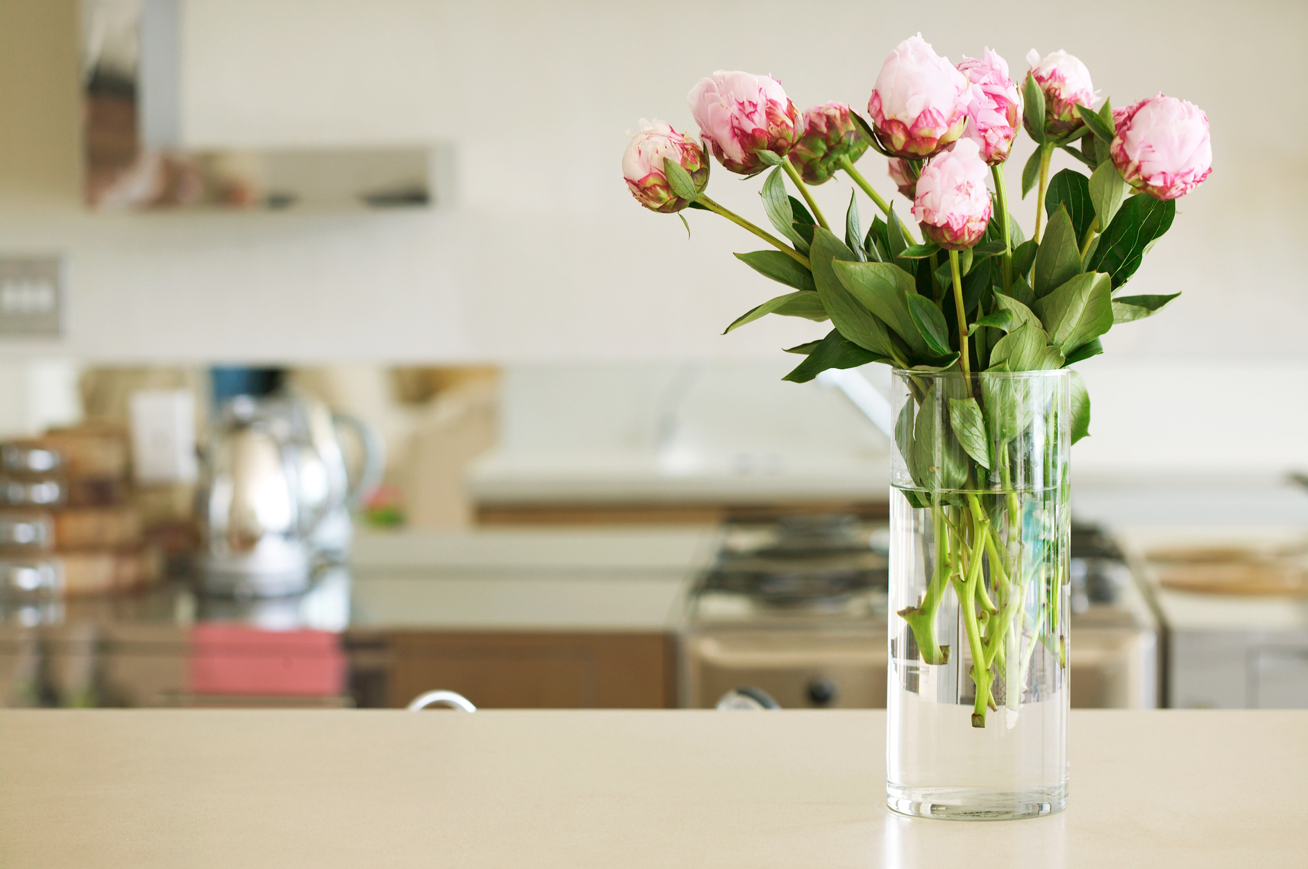 flower vase with pink roses on a counter top